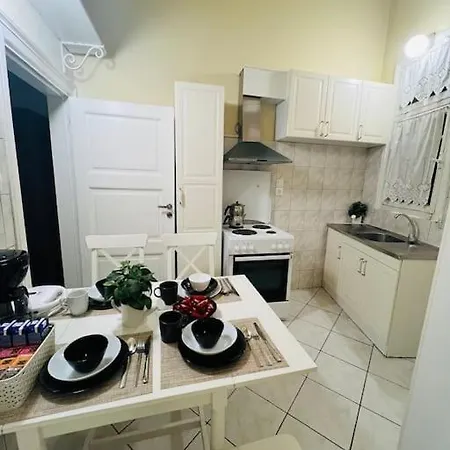 Old Mansion In Center Of Apartment
